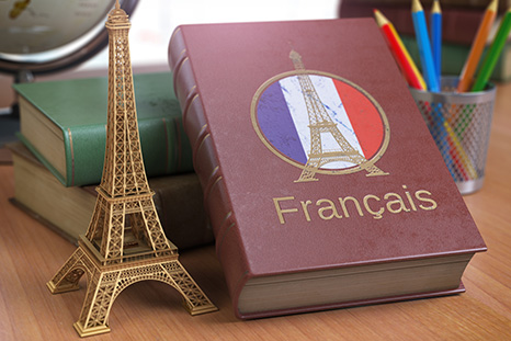 Intermediate French Conversational Group
